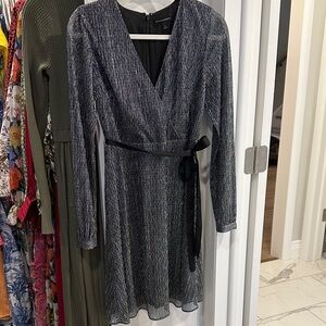Banana Republic Shimmering Black and Silver Long Sleeve Dress